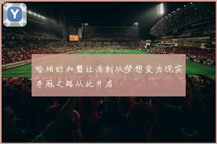 哈珀的加盟让马刺从梦想变为现实夺冠之路从此开启