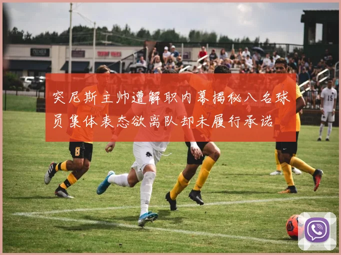 突尼斯主帅遭解职内幕揭秘八名球员集体表态欲离队却未履行承诺